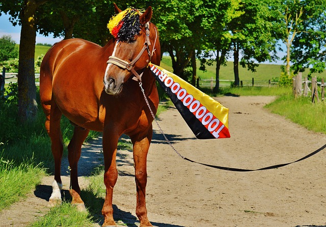 值得注意的 值得注意的