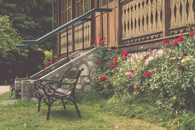 场新闻技能 场新闻技能