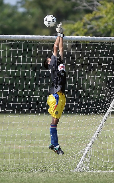 但依然不乏 但依然不乏