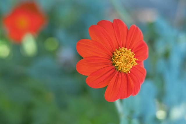 赛中的排名 赛中的排名