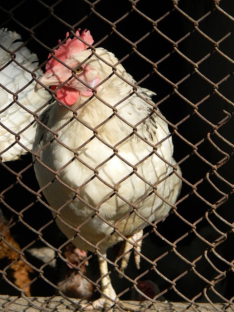 体素质和技 体素质和技